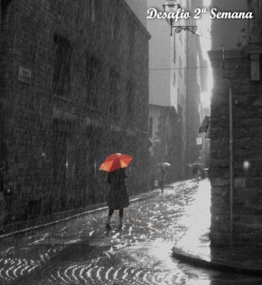 Guarda-chuvas