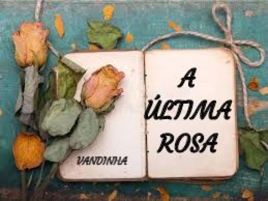 A Última Rosa