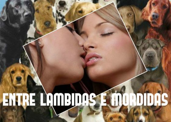 Entre Lambidas e Mordidas