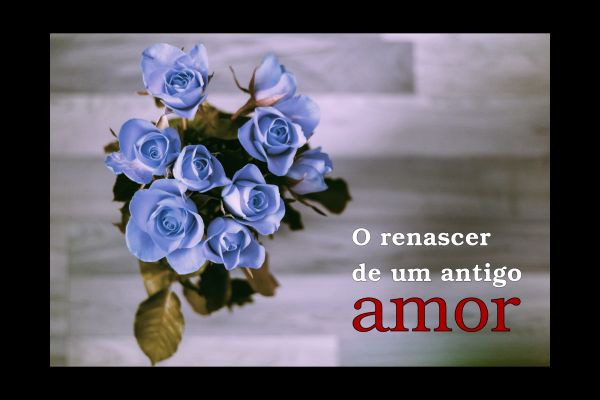 O Renascer de um Antigo Amor