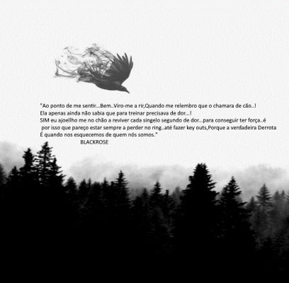 Algures em Permite-me 