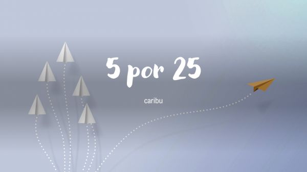 5 por 25