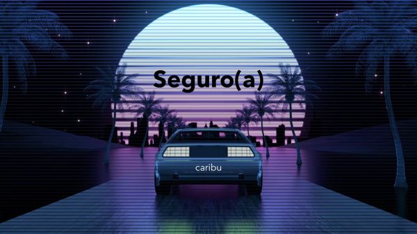 Seguro(a)