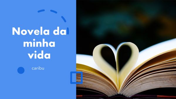 Novela da minha vida