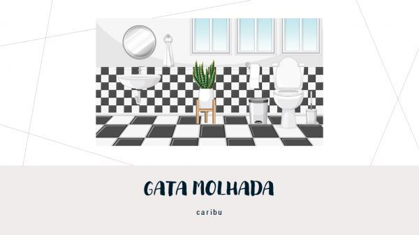 Gata molhada