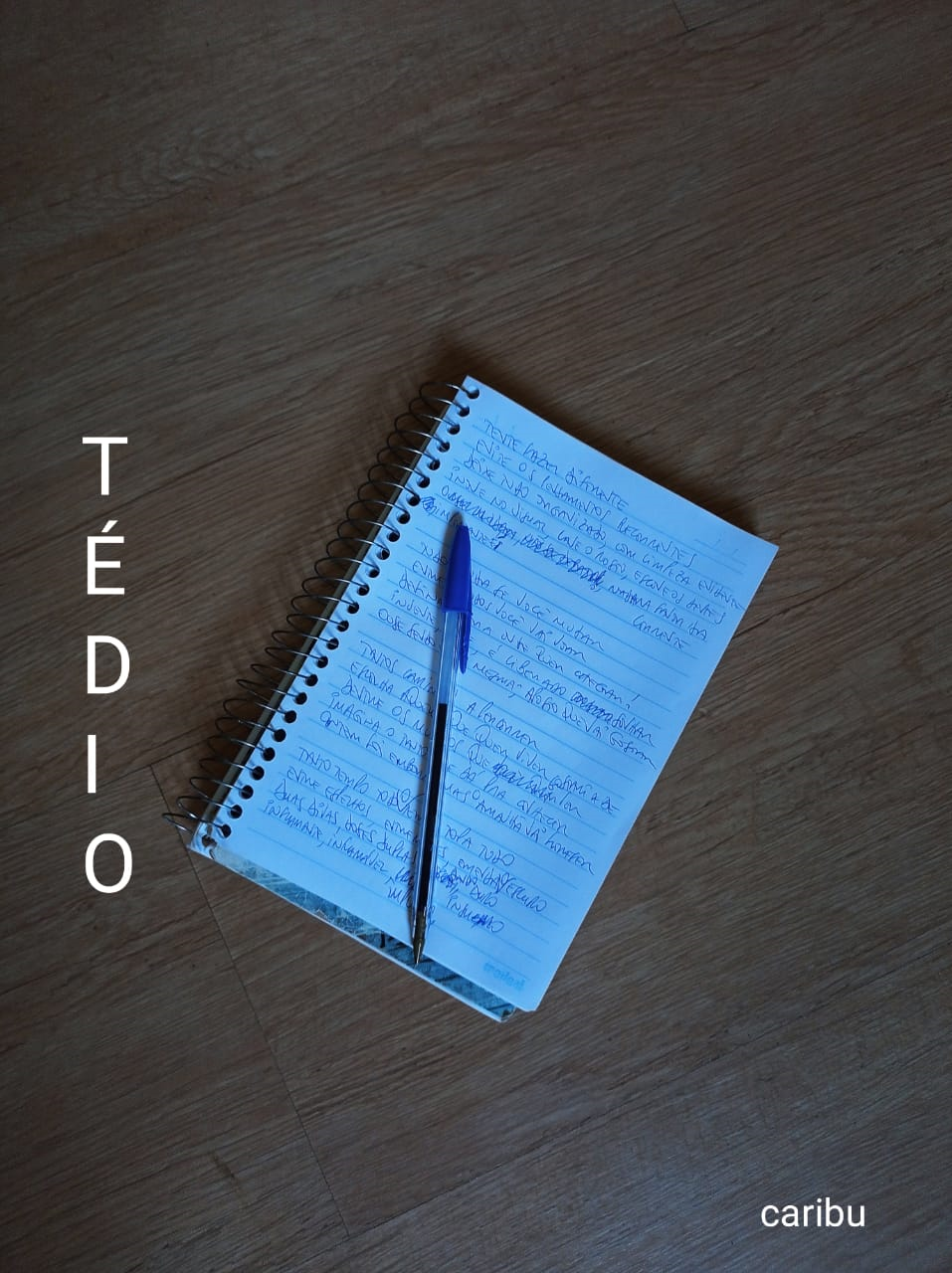 T.E.D.I.O.