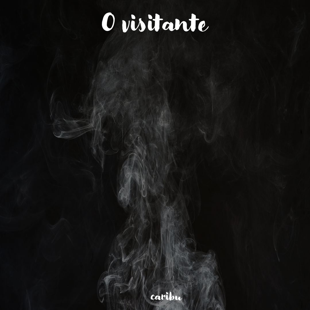 O visitante