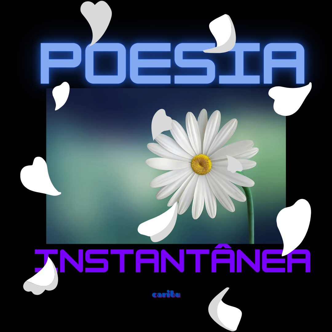 Poesia instantânea