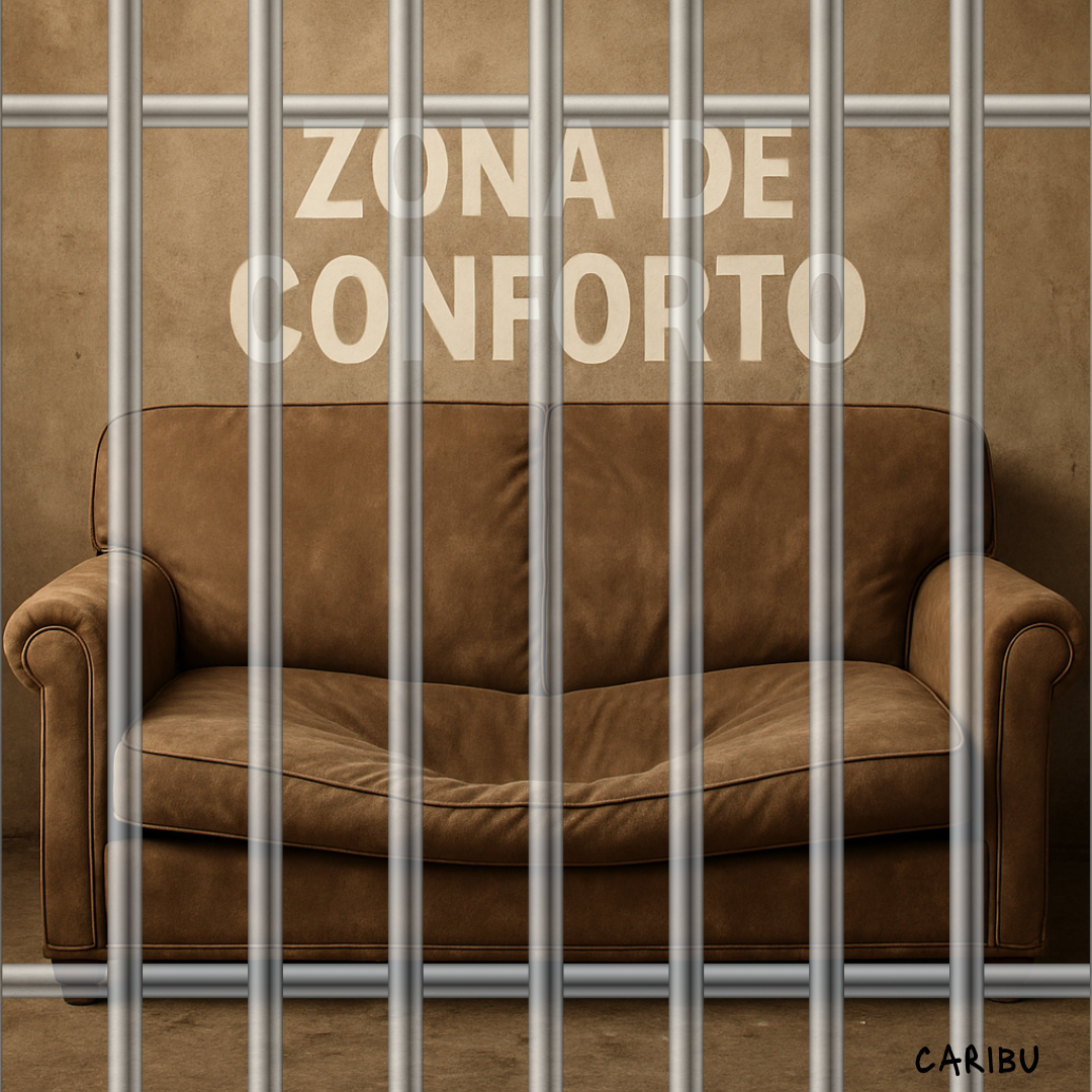 Zona de conforto