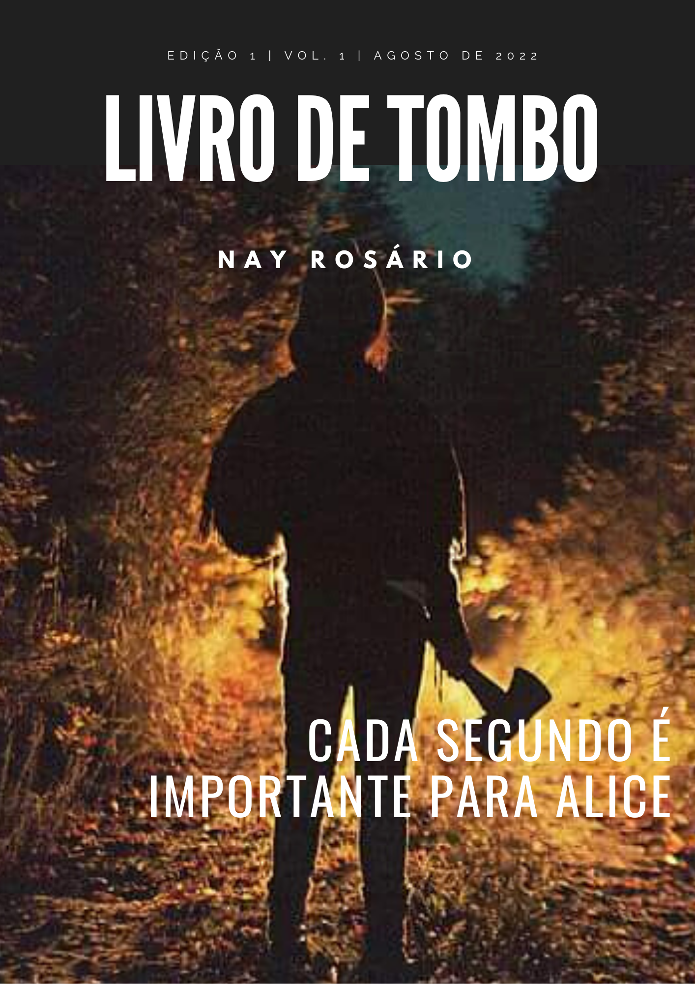 Livro de Tombo