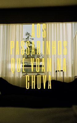 Aos passarinhos que voam na chuva