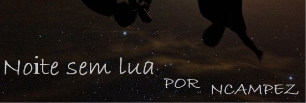 Noite sem lua